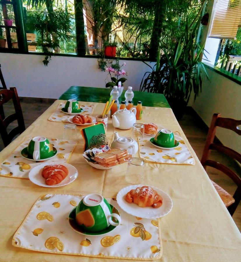 B&B Sunrise Tortora Dış mekan fotoğraf